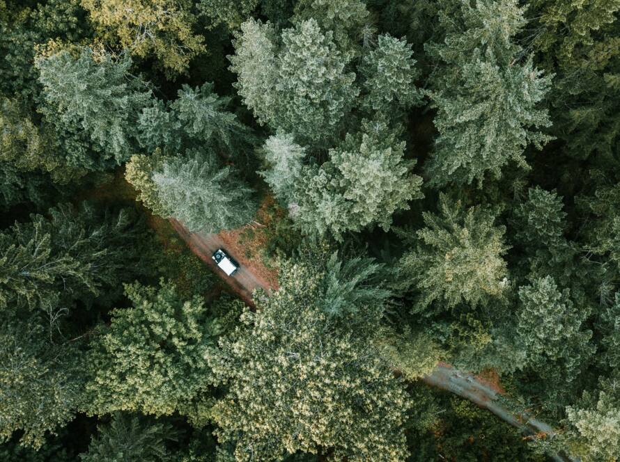 Portfolio39 890x664