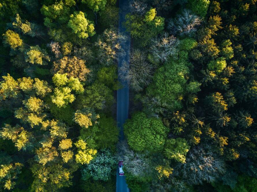 Post19 890x664